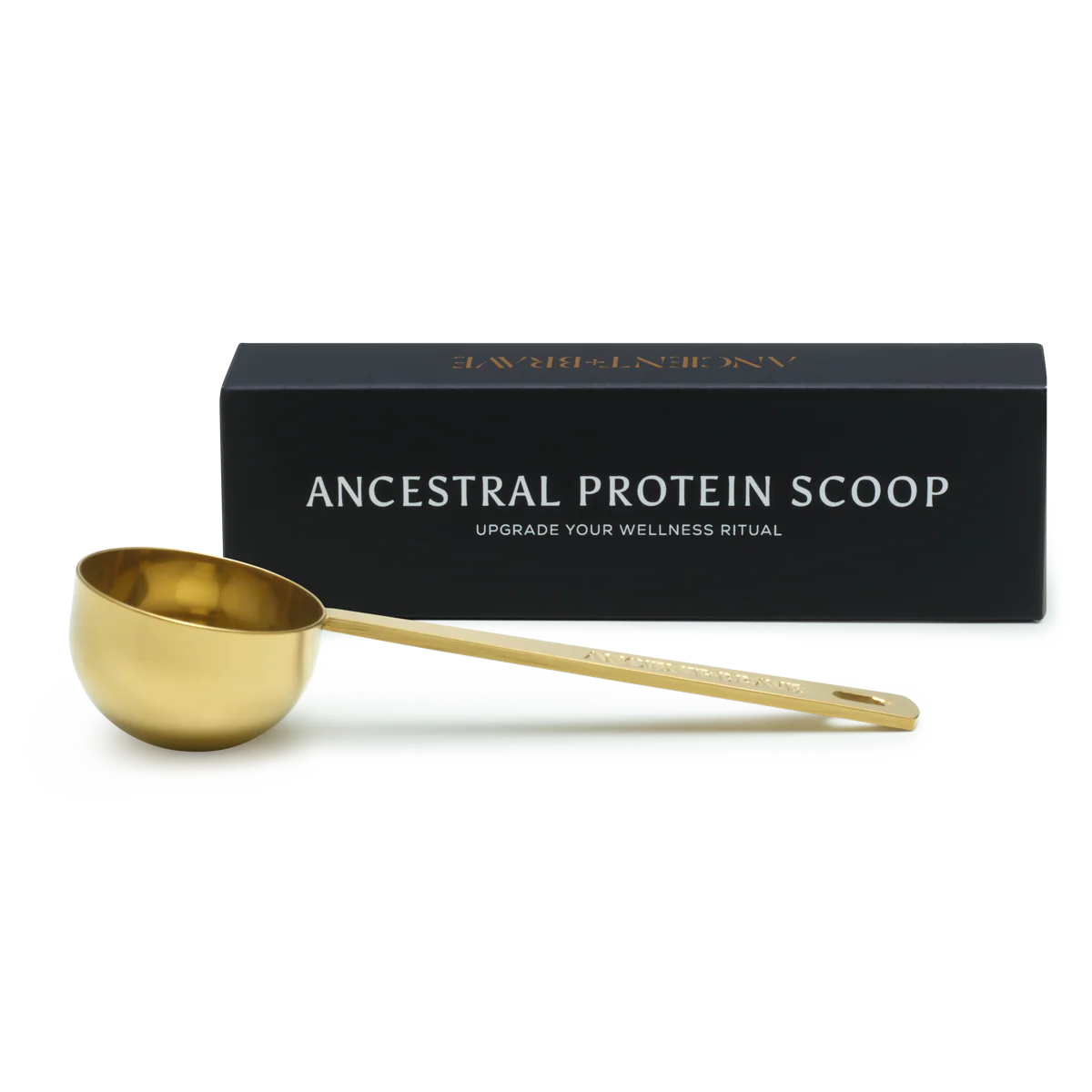 Ancestral Protein Scoop - Image 8