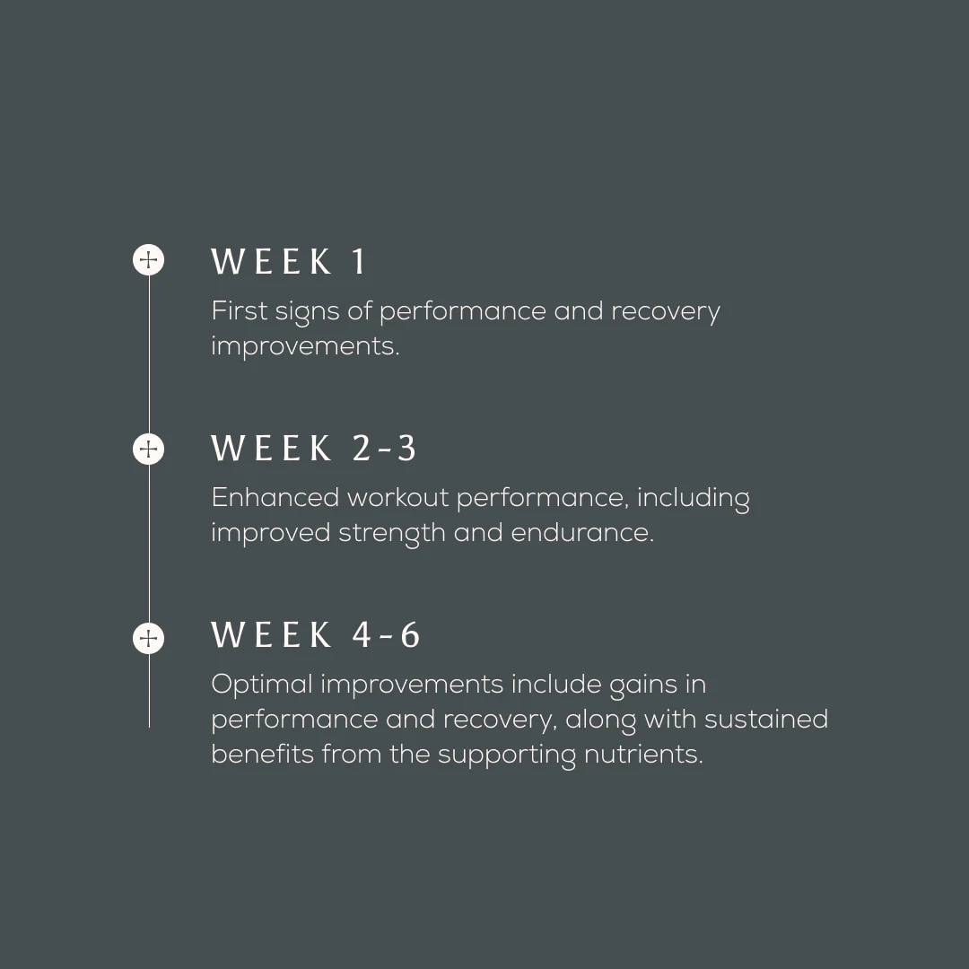 True Creatine+ Sachets - Image 7