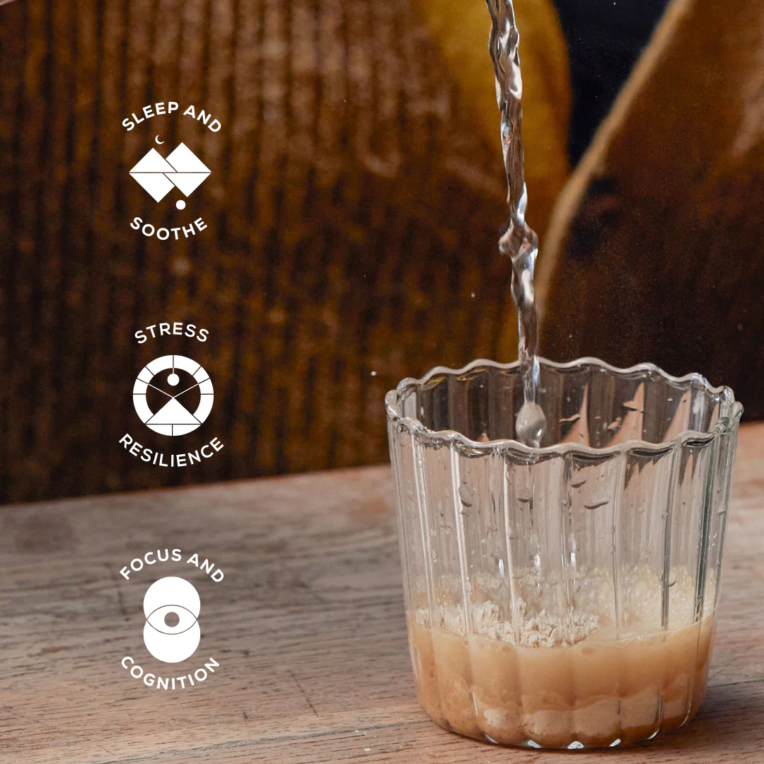 True Nightcap - Image 5